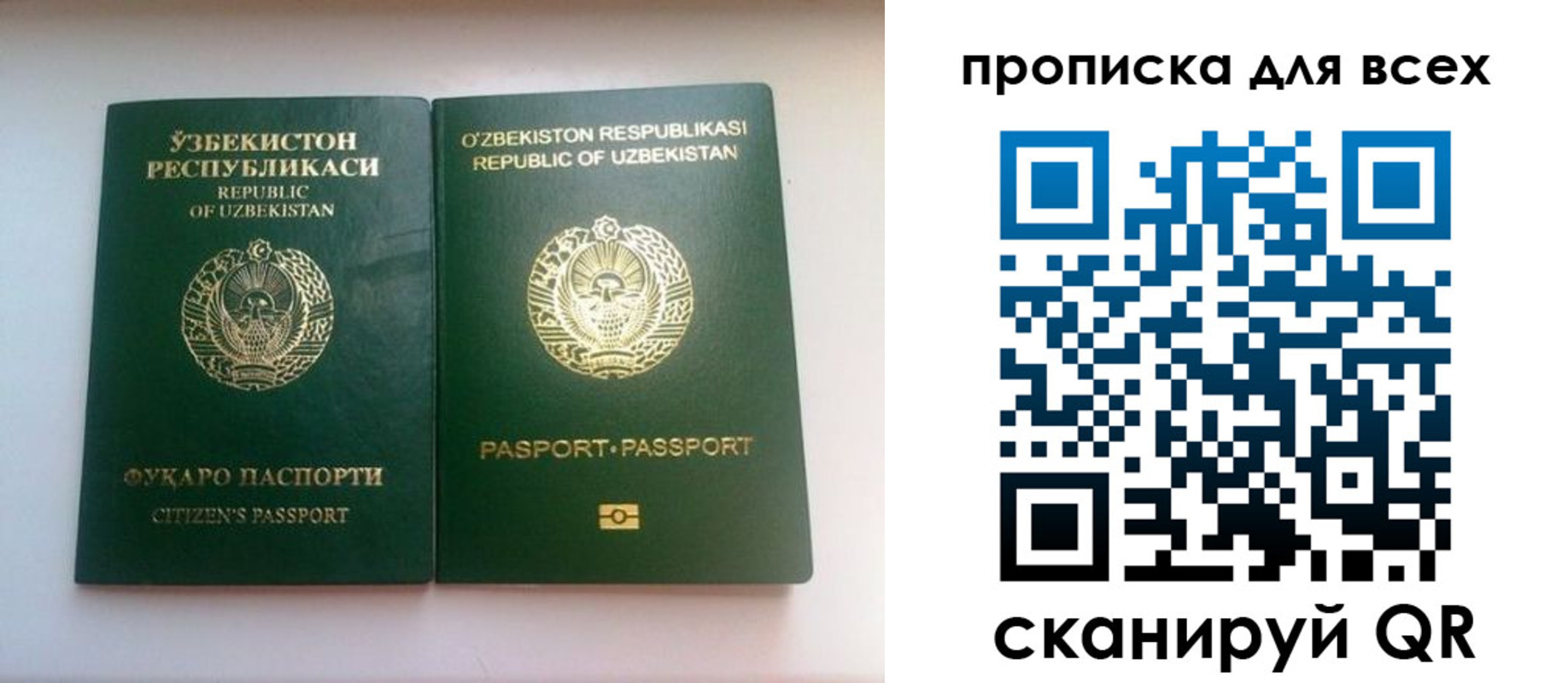 прописка для школы в Мордовии